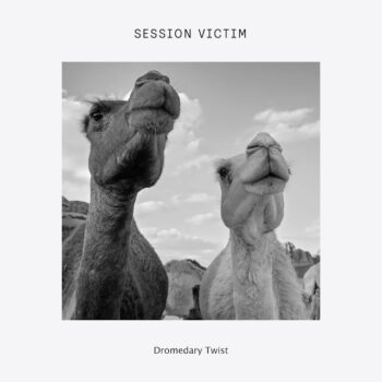 Session Victim - Dromedary Twist