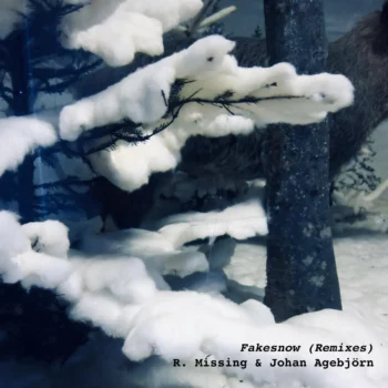 R. Missing - Fakesnow (ideesnoires Remix)