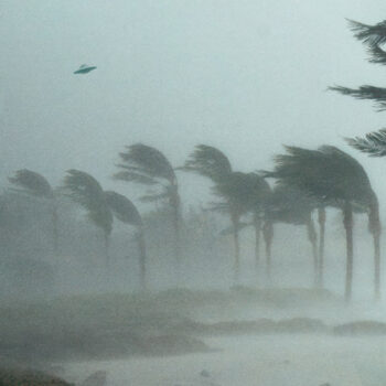 UFOs & Braxe+Falcon & Phoenix - UFO