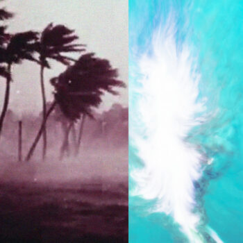 Arms And Sleepers - Sequence Failed Continuity