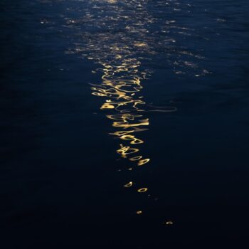 Lofin - Shallows